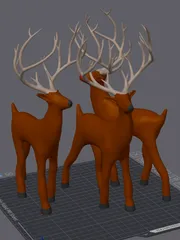 Reindeer