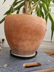 plant pot coaster