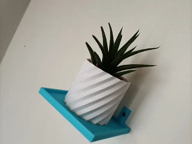 Small Shelf For Haworthia