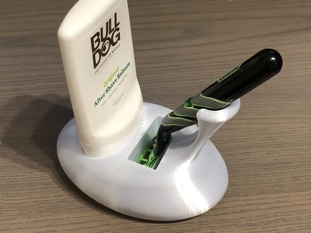 Organizer for shaving tools