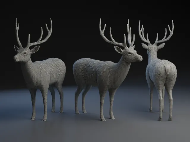Buck / Deer
