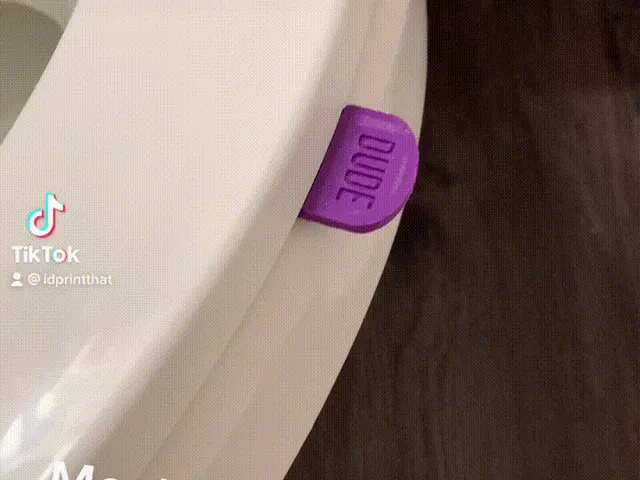 Toilet Seat Handle