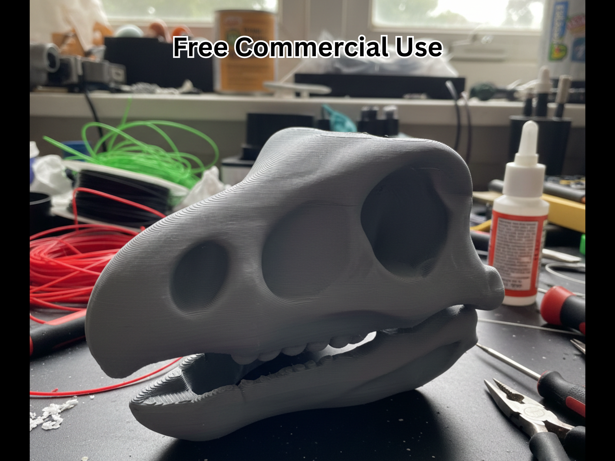 Cartoon Stegosaurus Skull