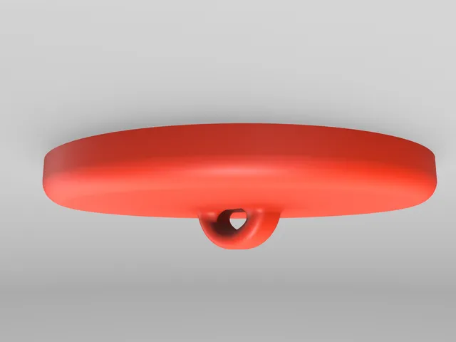 Ceiling Disk Hook