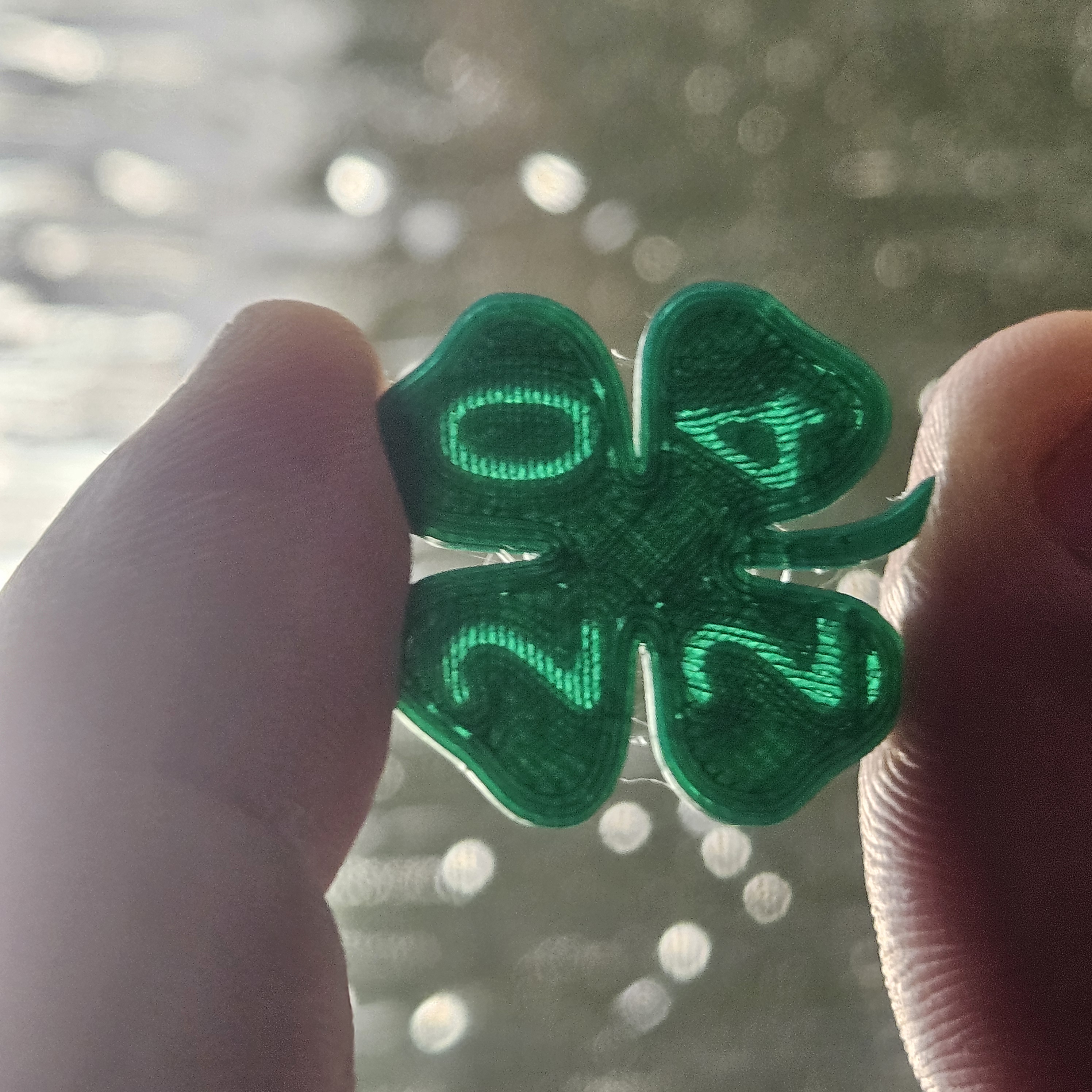 lucky cloverleaf 2024