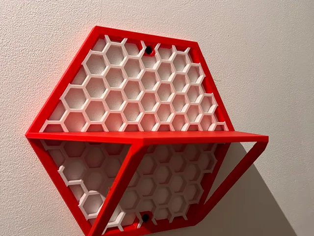 X3D HSW Display Shelf (Multicolor)