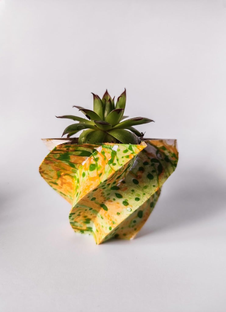 algaepots — miniatura 8