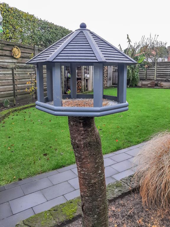 Bird feeder house