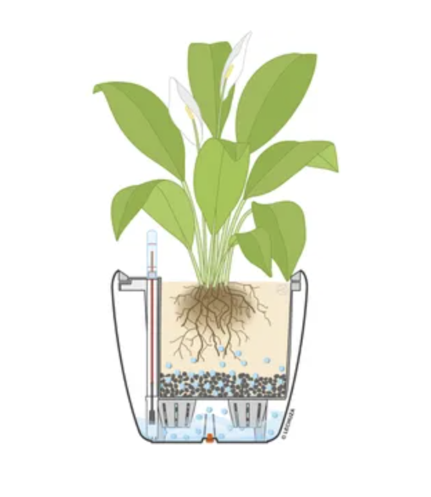 Lechuza seperator