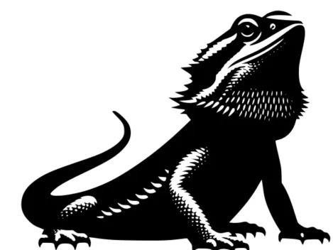 bearded dragon Wall Art