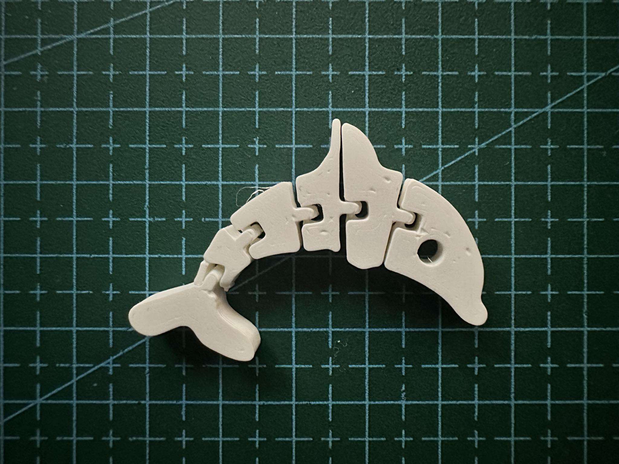 Flexi Dolphin