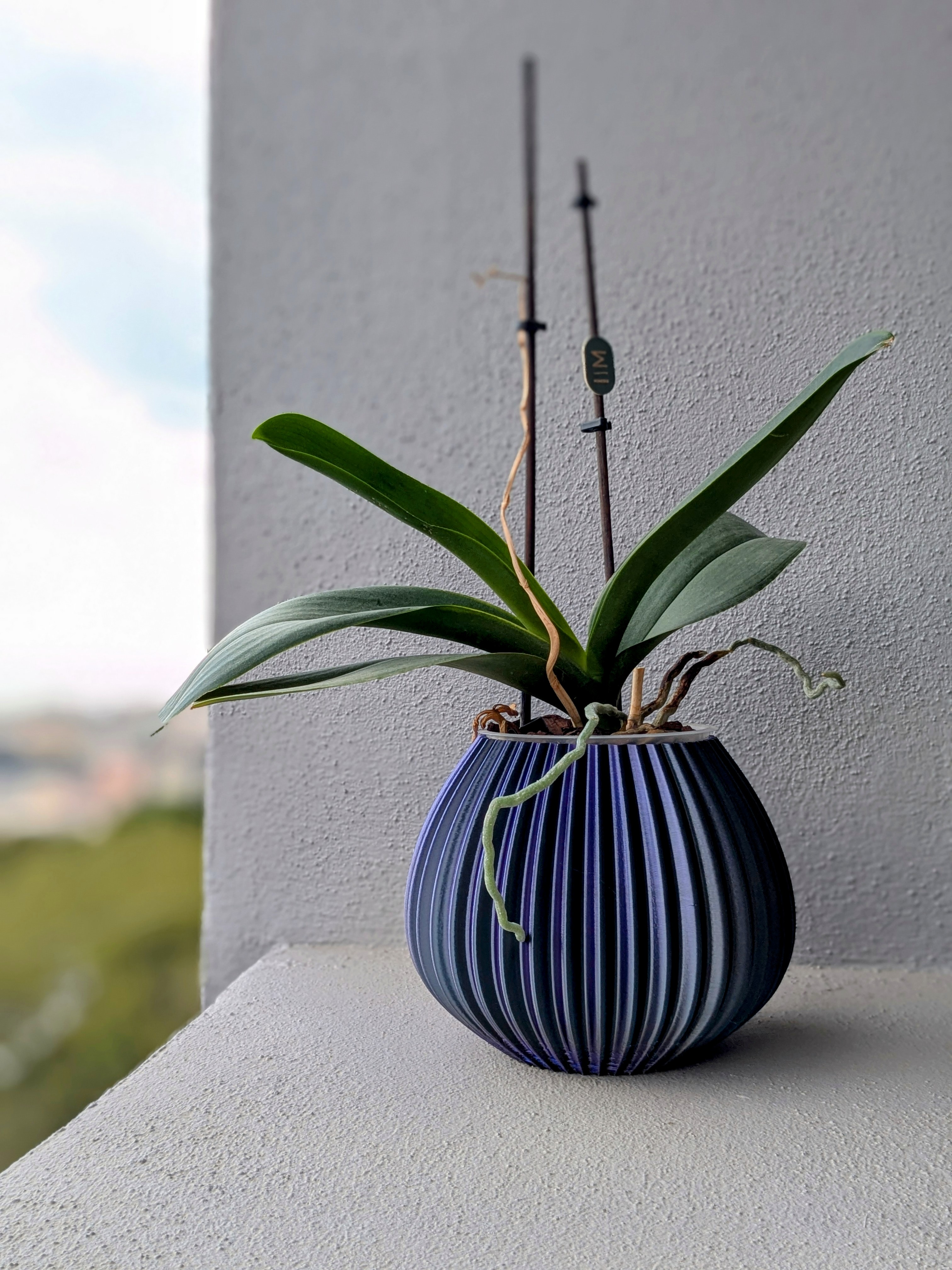 Vase_01