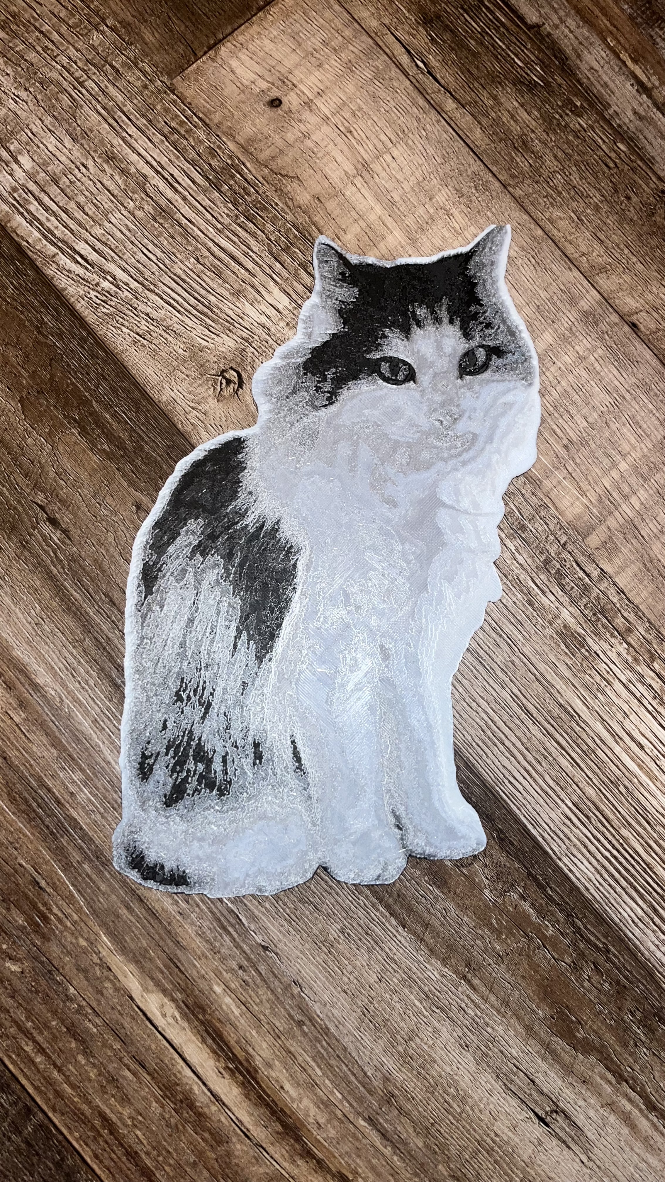 Black and White Cat (Multicolor Print) / Katze in Schwarz Weiß Hueforge