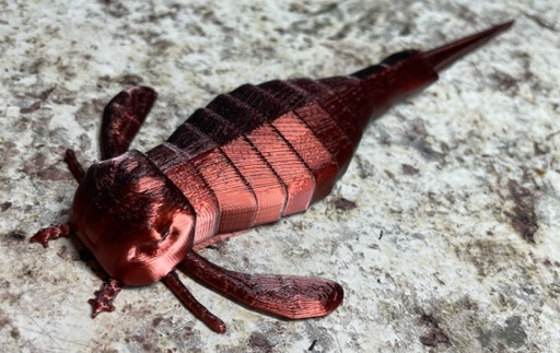 Sea Scorpion - Eurypterus