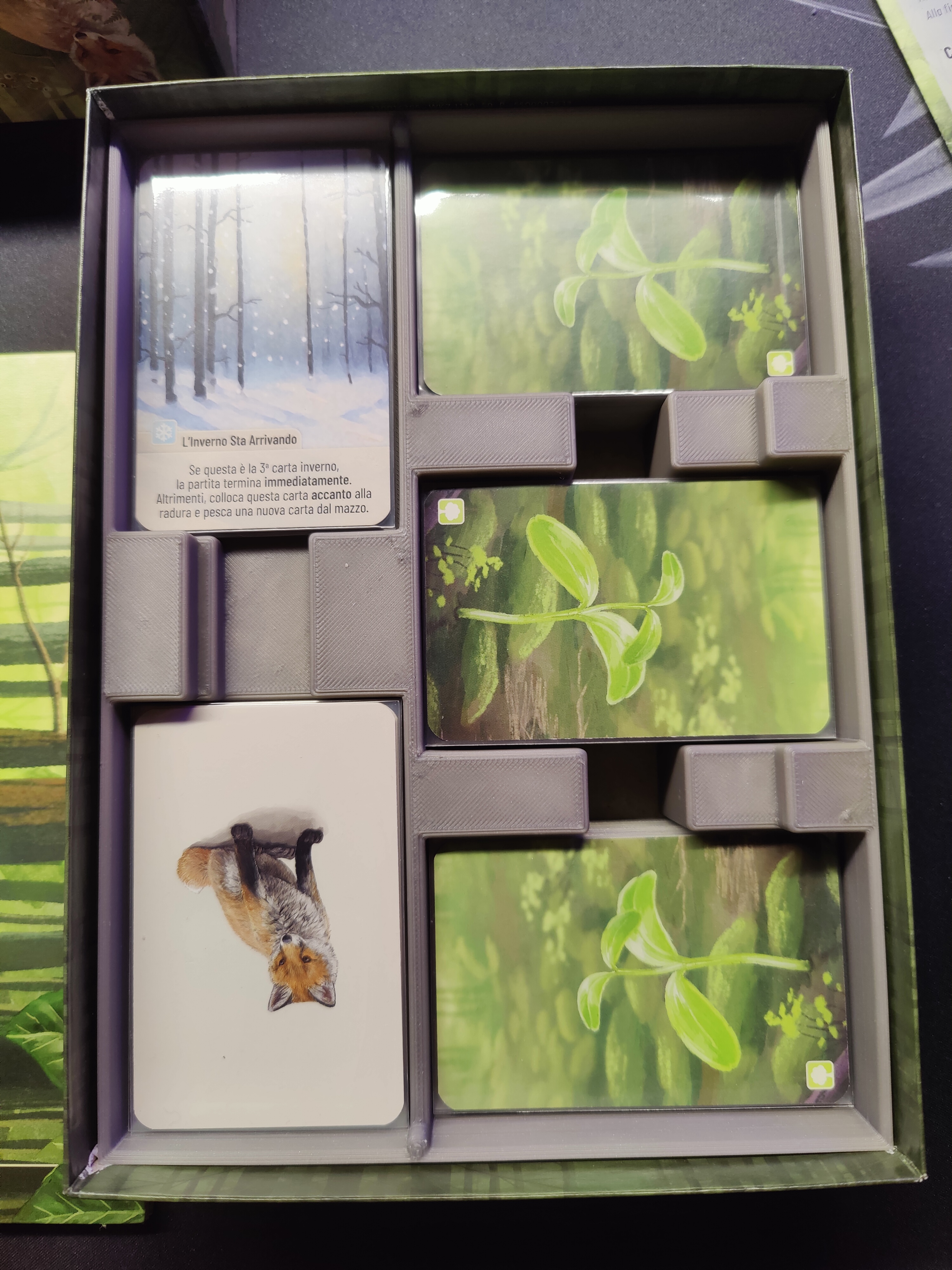 Miniatura 2 do modelo 3D Forest Shuffle organizer