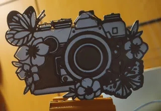 2d wallart / transucelt decor