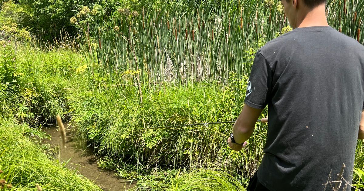 Quadlock Mount V2 by LEdiodes Download free STL model