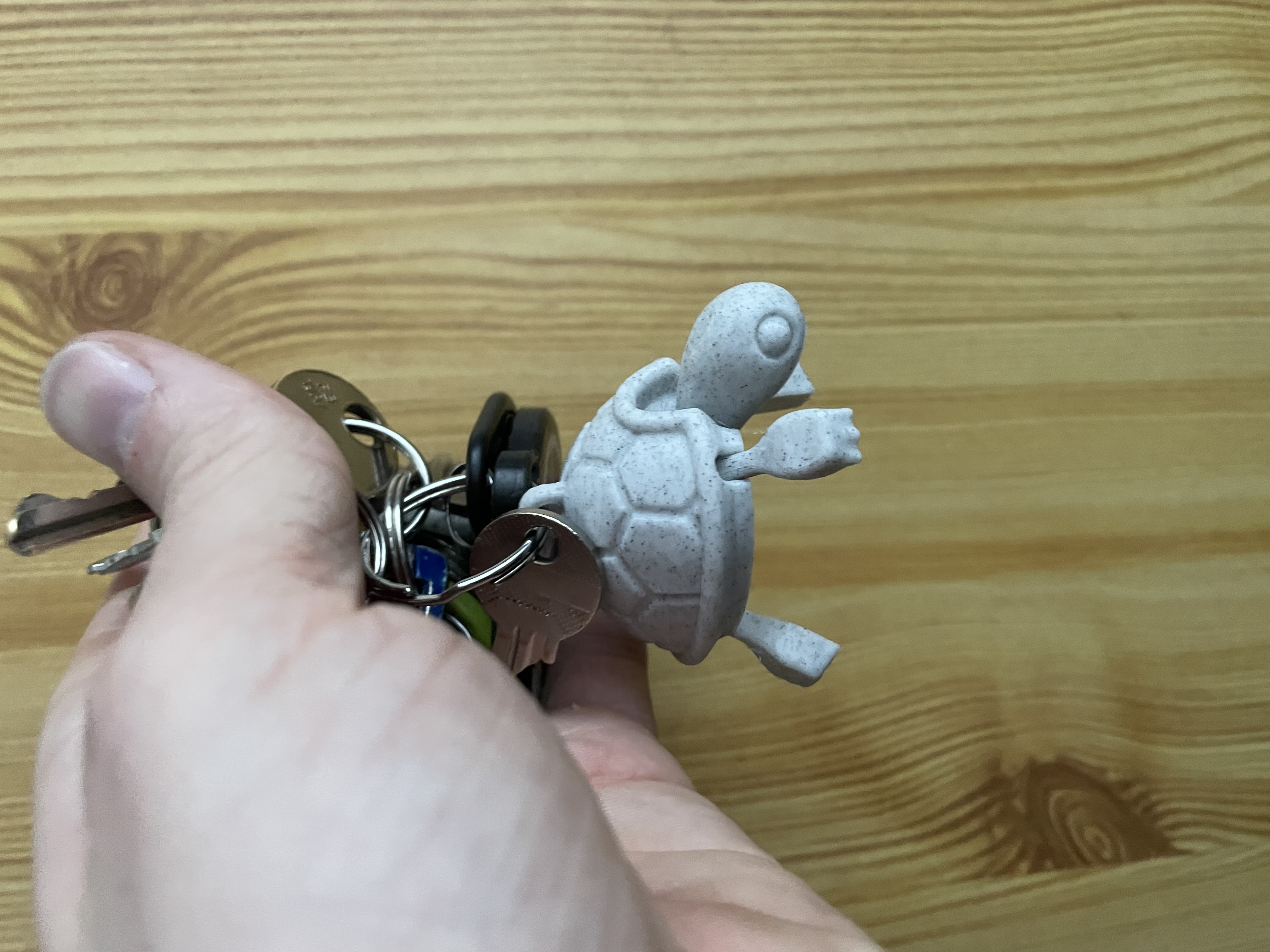 Baby turtle sale keychain