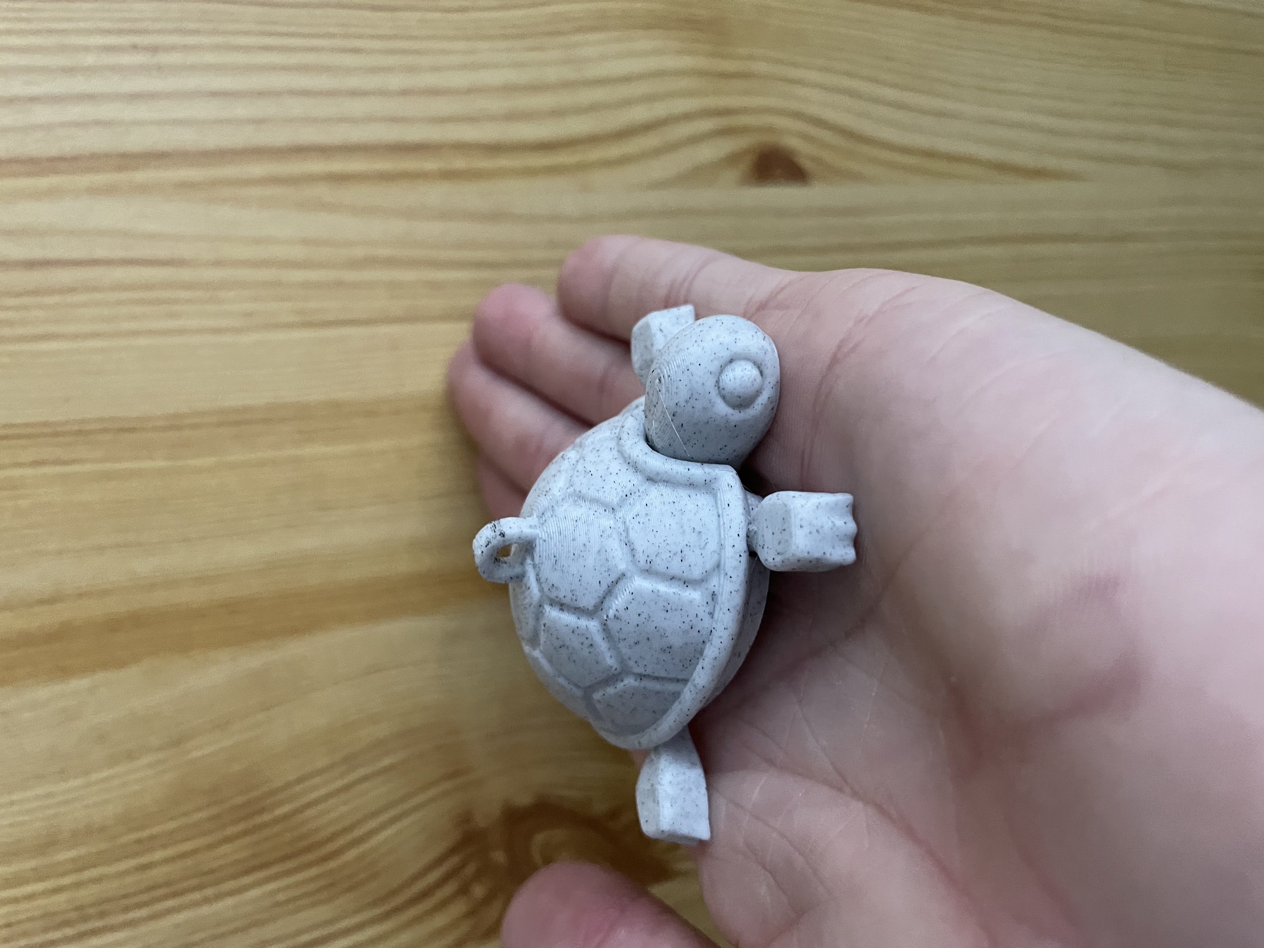 cutie-baby-turtle-keychain-par-souky1122-t-l-chargez-gratuitement