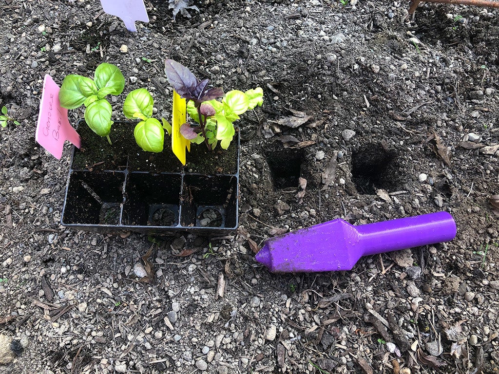 Epic Seed Tray Planting Tool