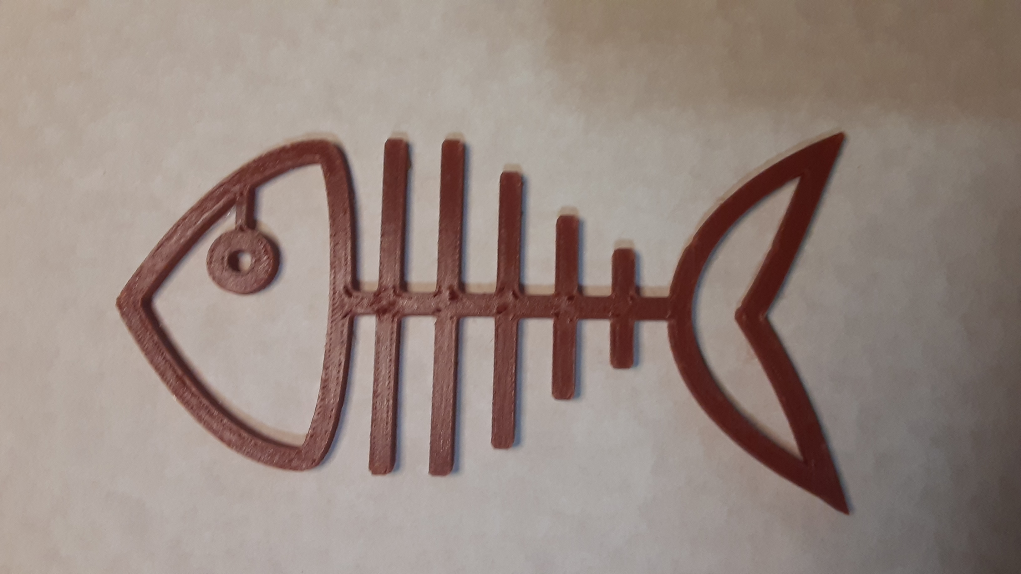 fish skeleton