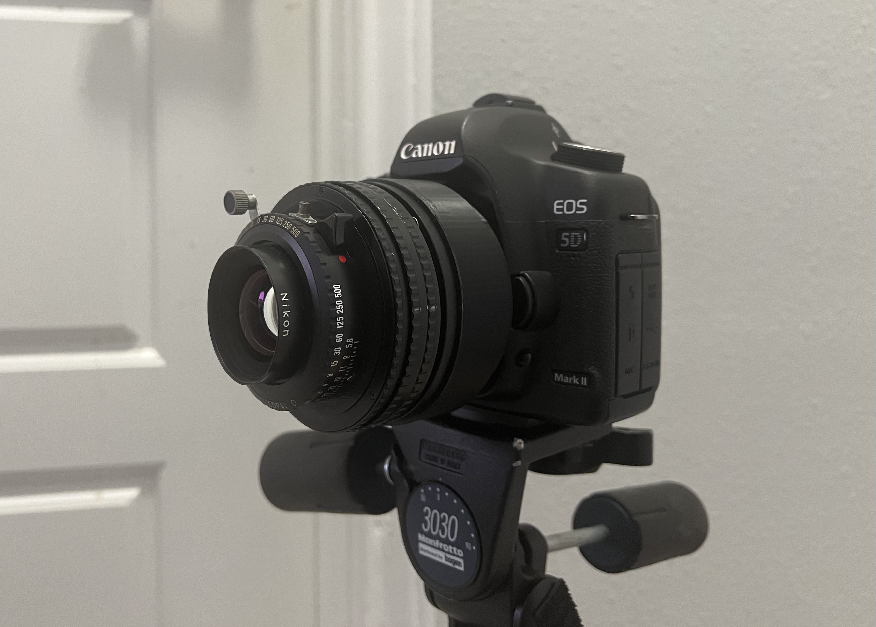 Nikkor W 100mm to Canon EOS EF