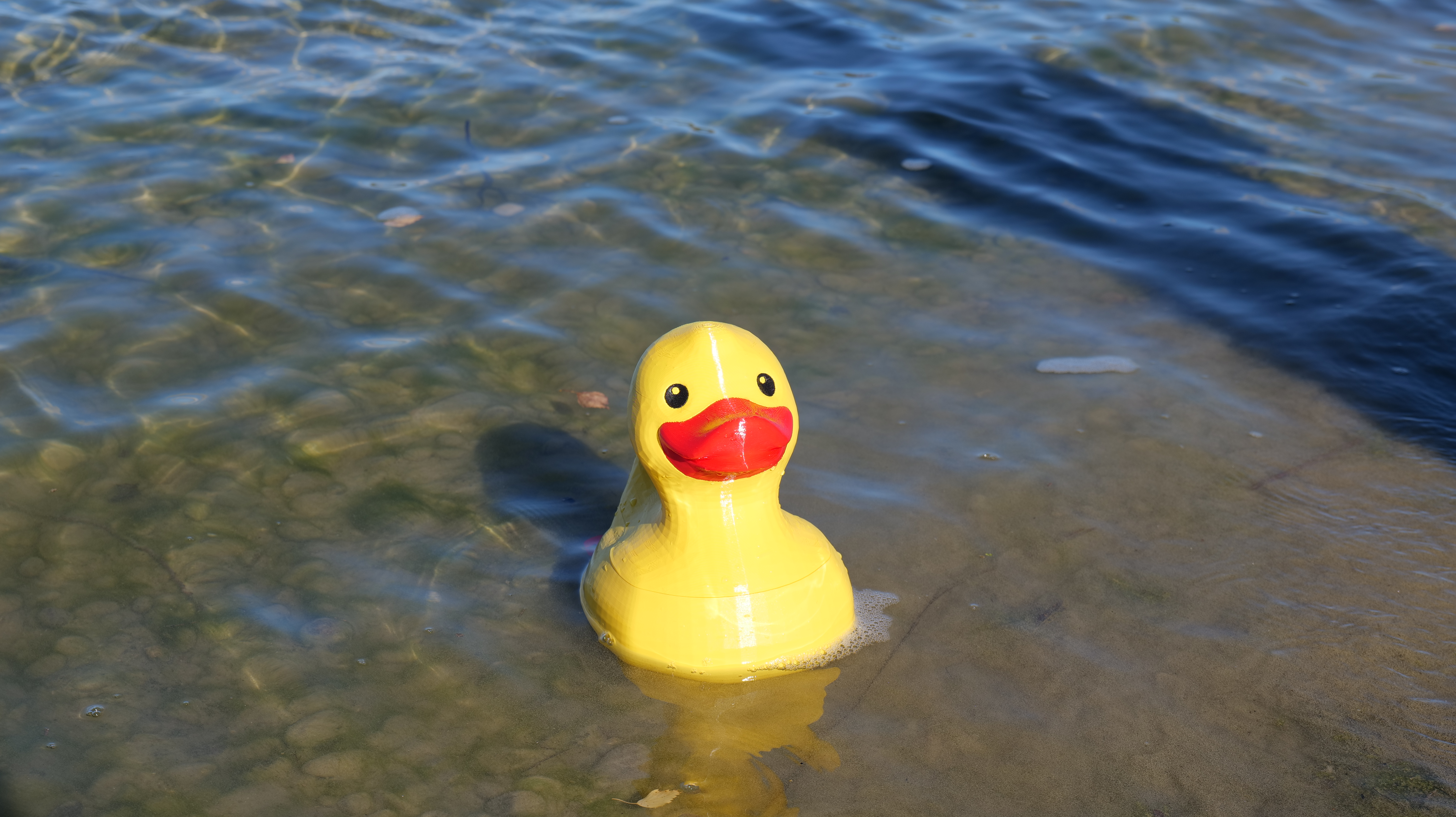 Renè Ruber Duck 3D model