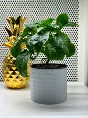 Hexagon Flower Pot - Vase Mode