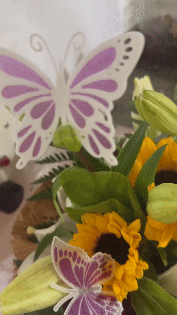 Butterfly on flower