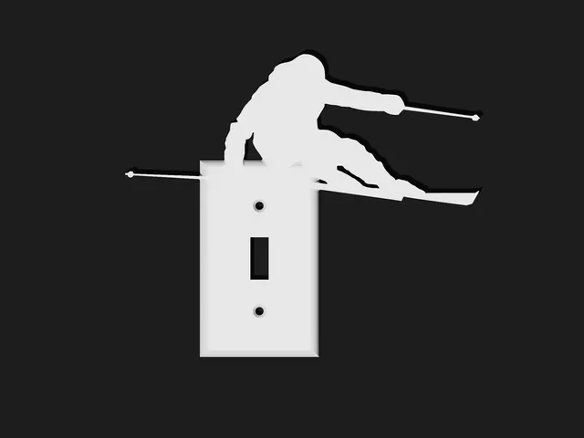 Skier Light Switch Plate