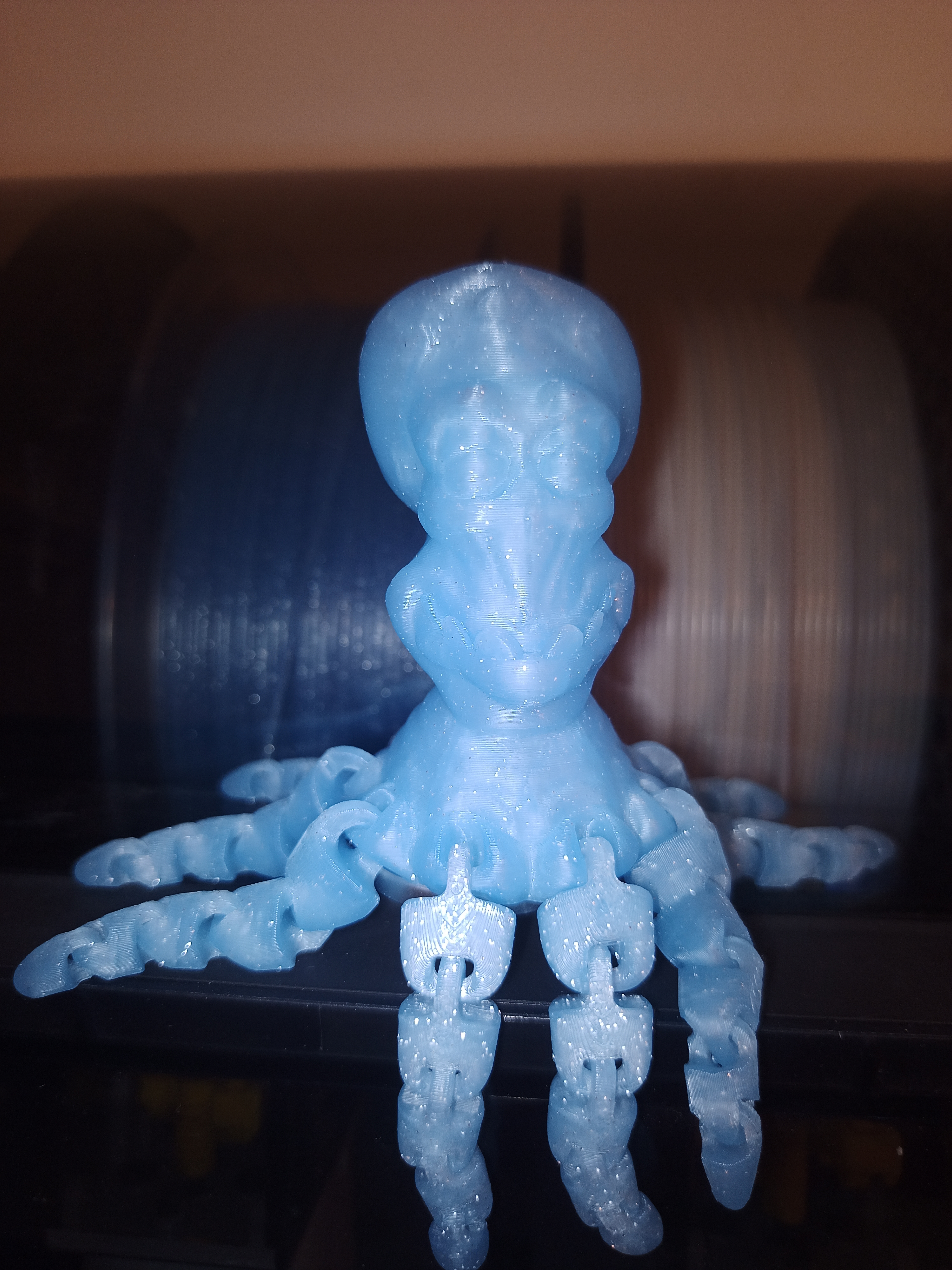 octopus