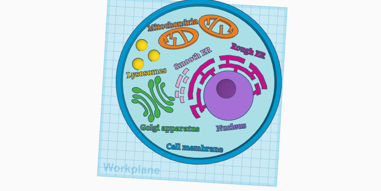 Cell Anatomy by TheBadishRadish Download free STL model