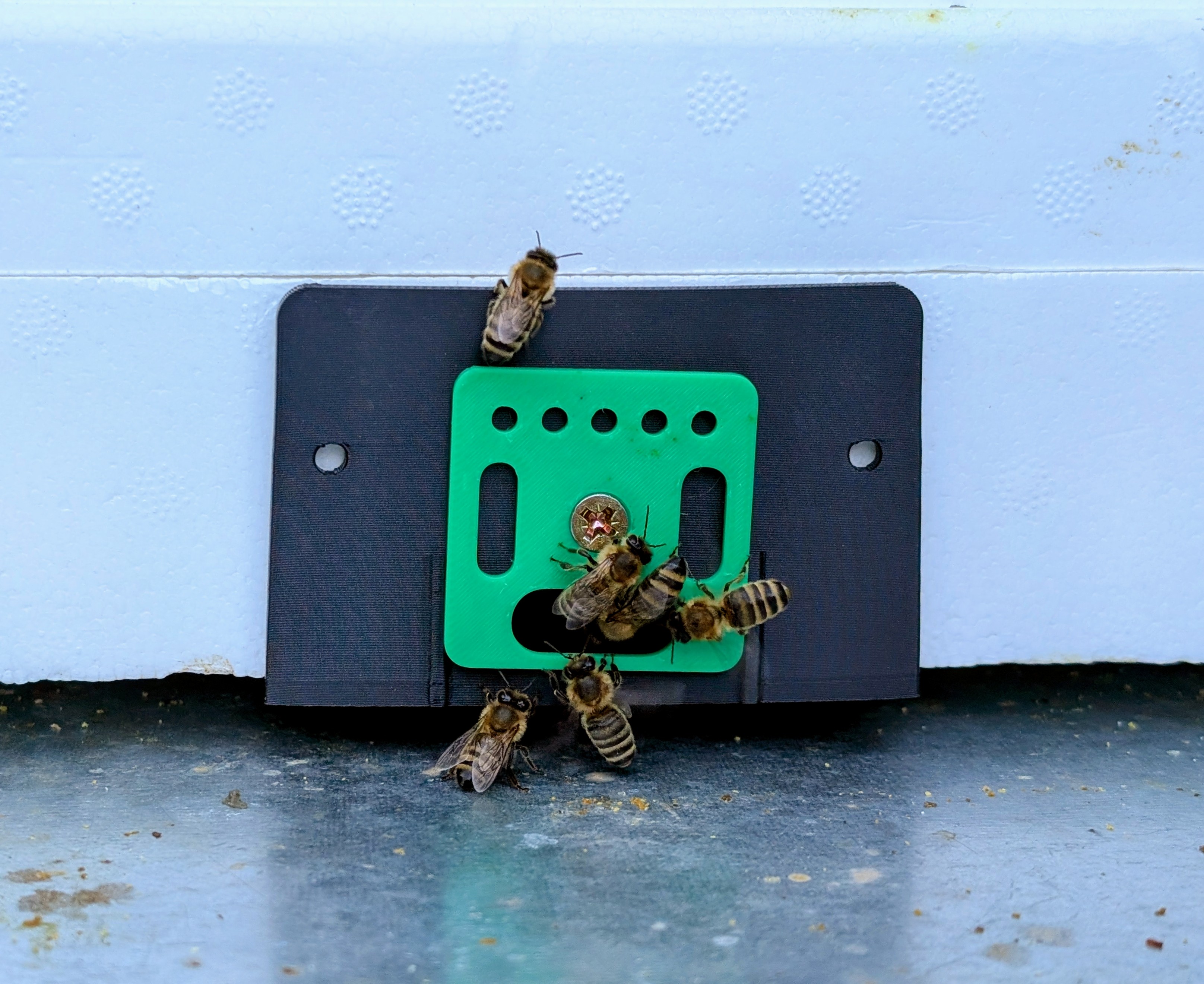 Mini Plus beehive entrance