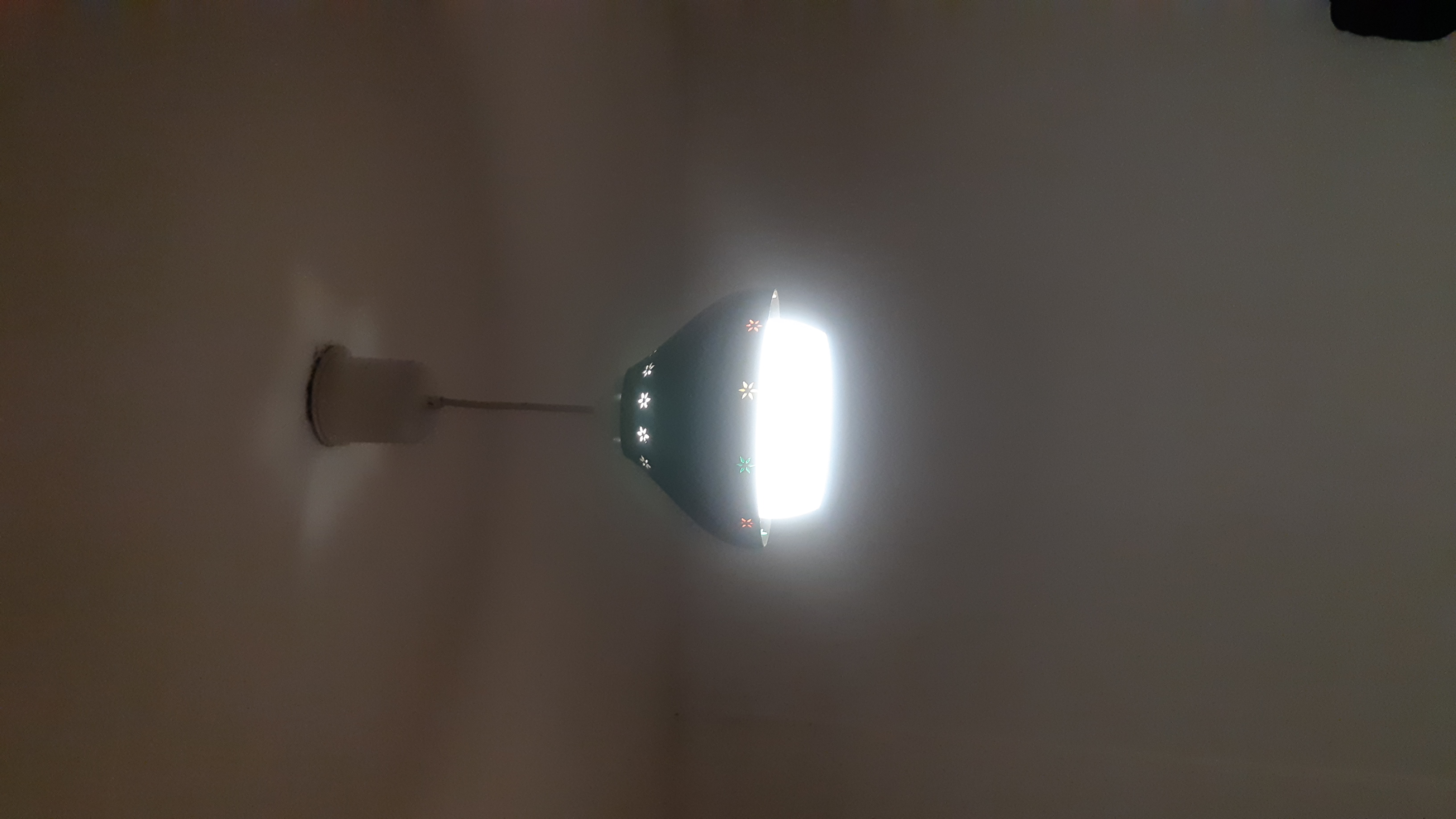 Wildflowers lampshade