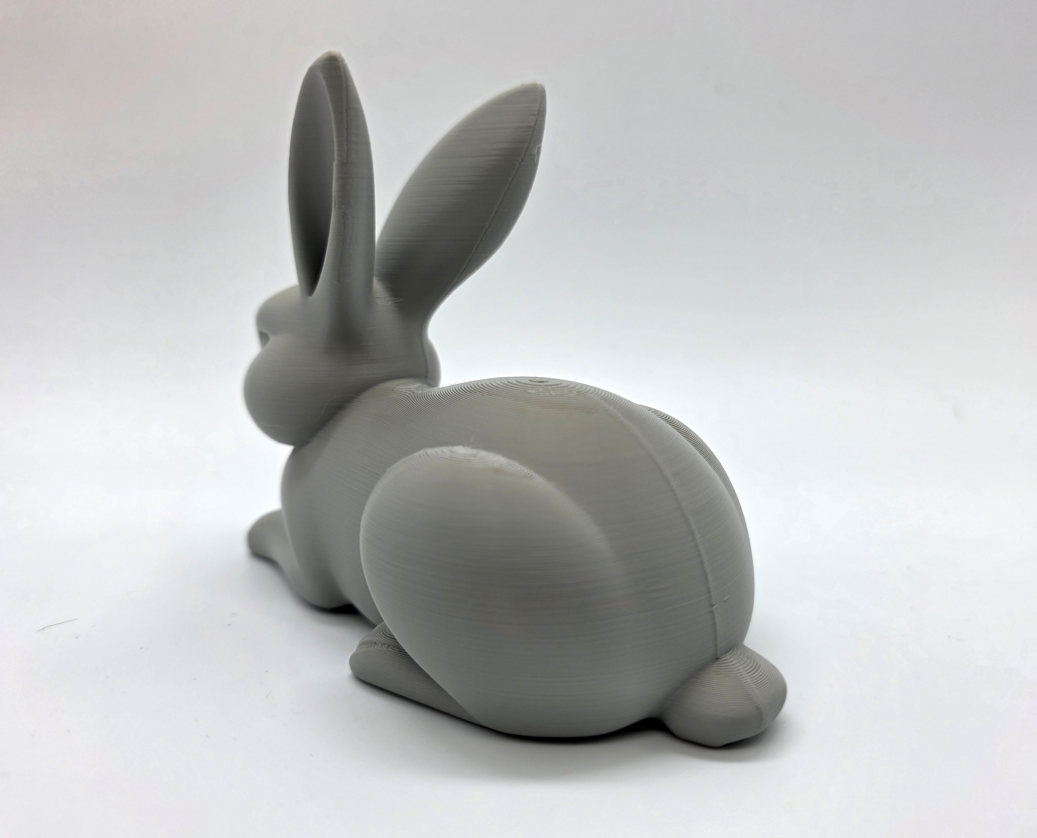 Lay-Down Rabbit — miniatura 4