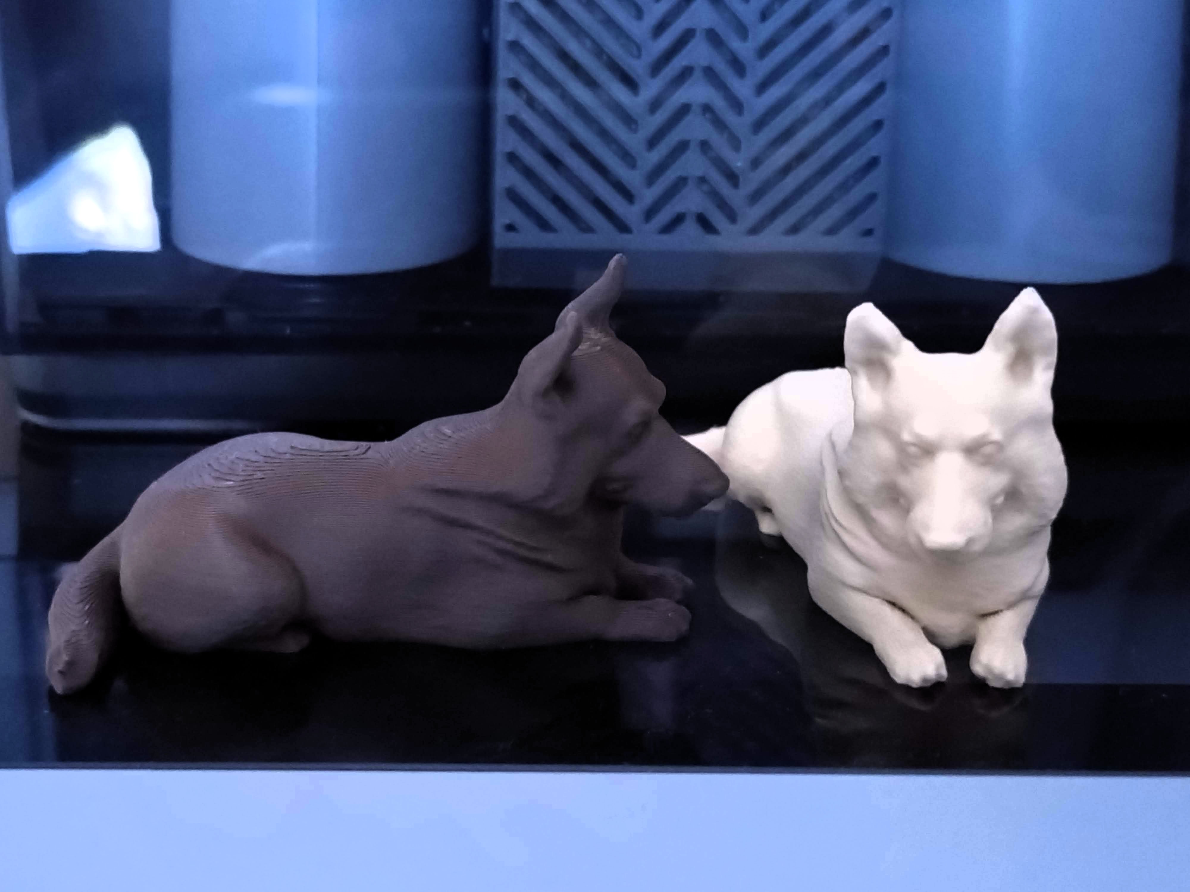 Miniatura 3 do modelo 3D Corgi dog