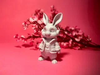 Bunny-bunny