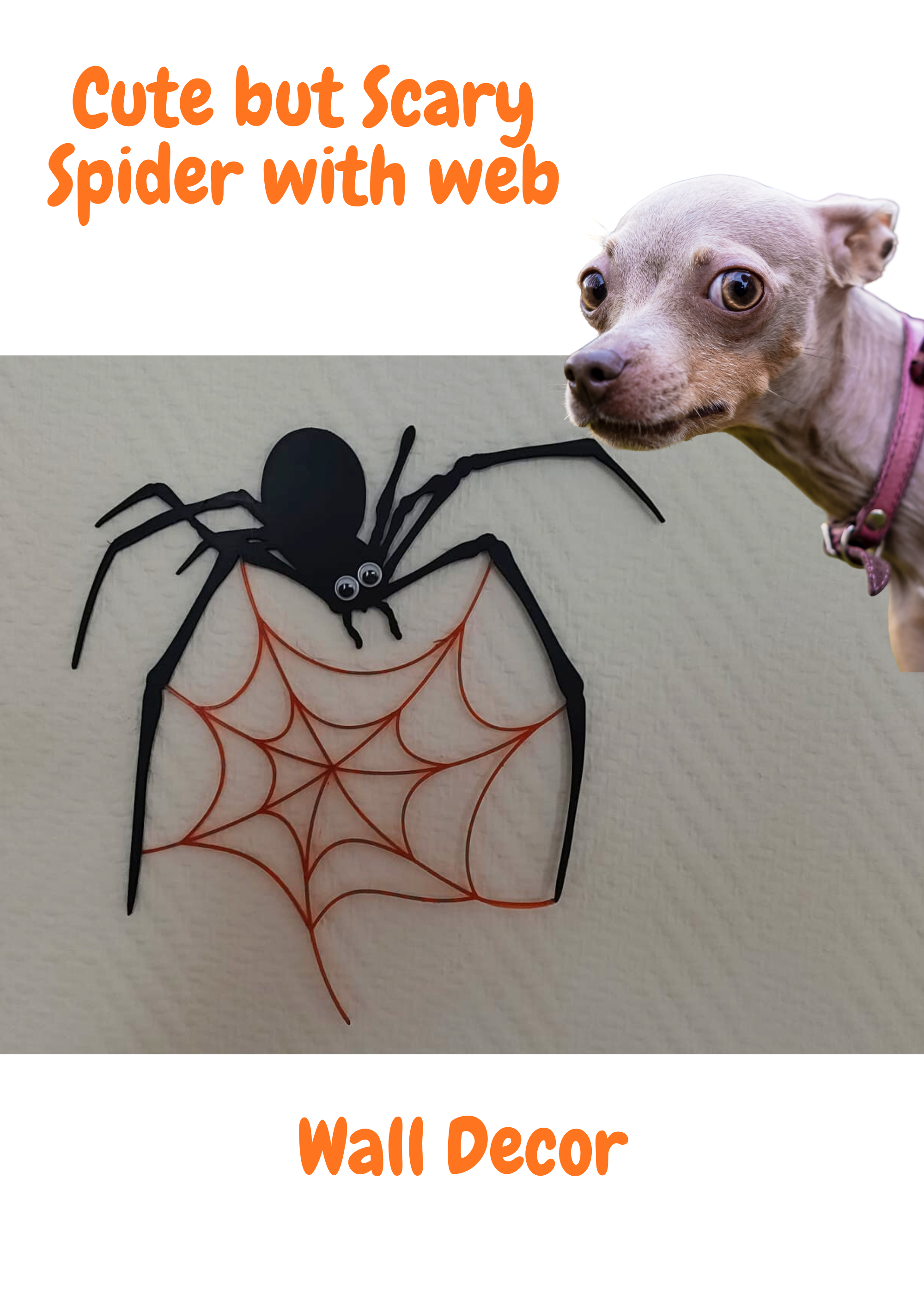 Spider with Web - cool wall decor