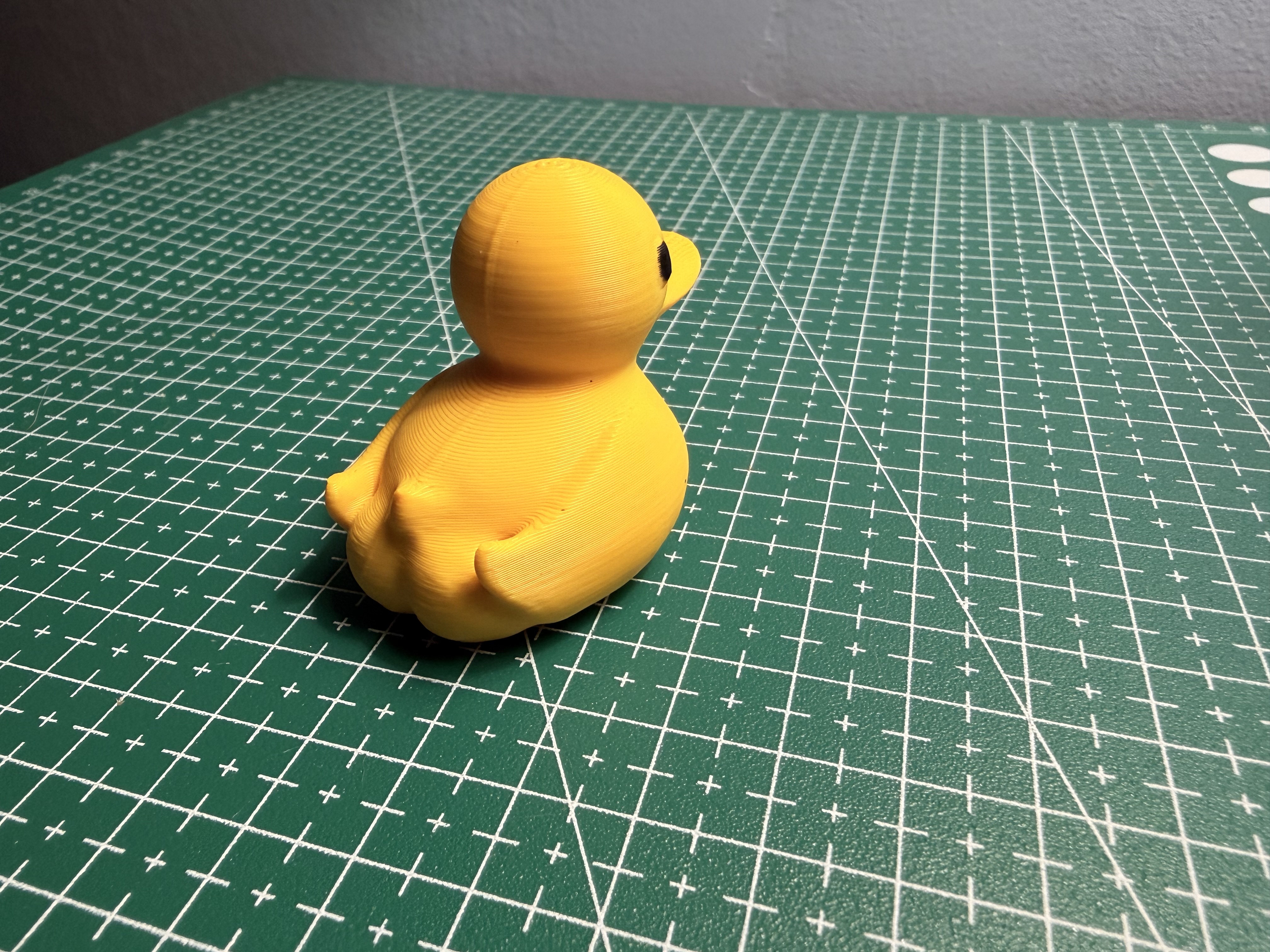 Little butt rubber ducky