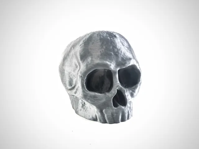 Skull for Fdm