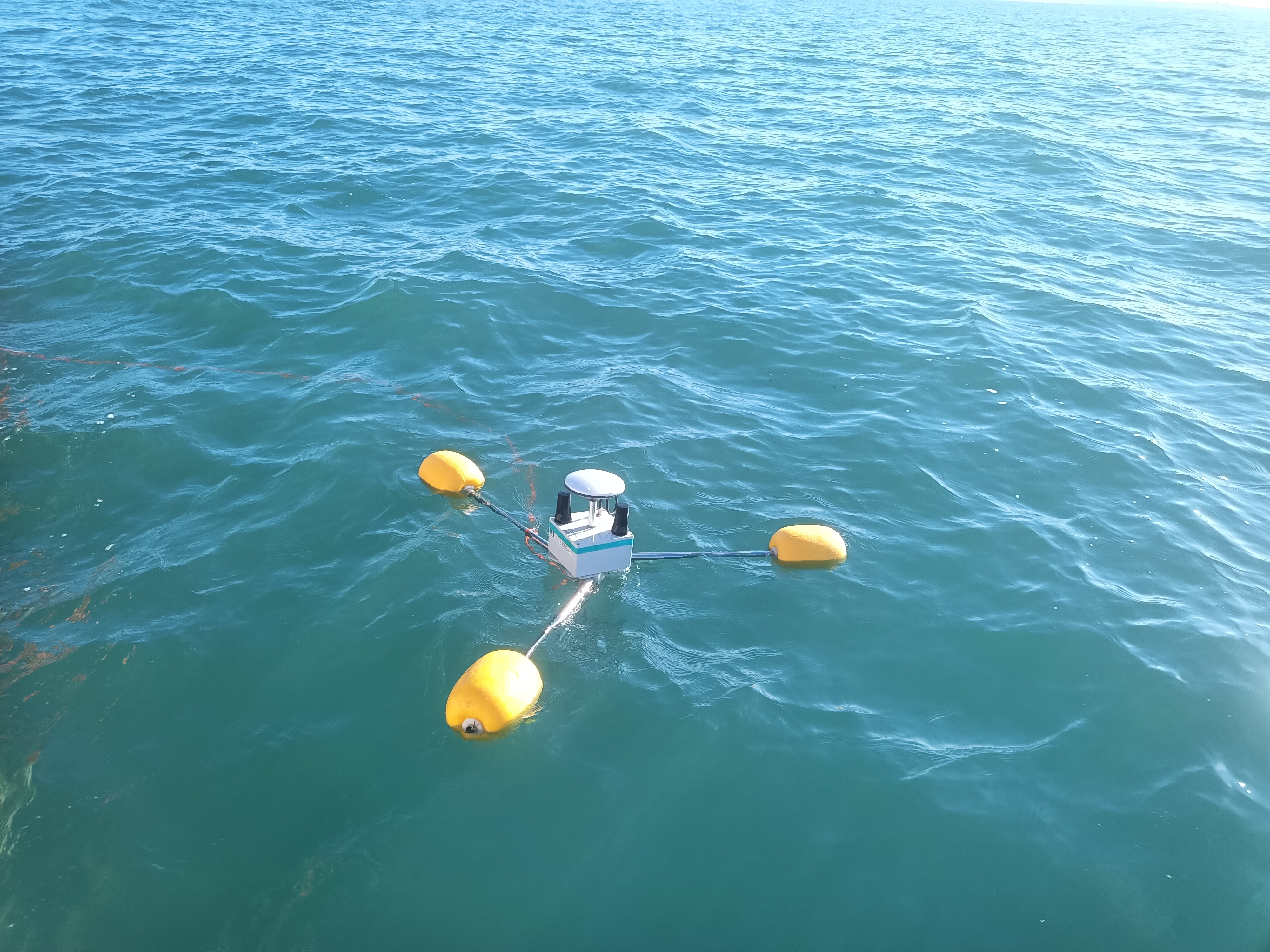 tripod buoy Physalia