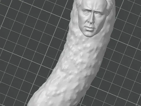 Picholas cage magnet