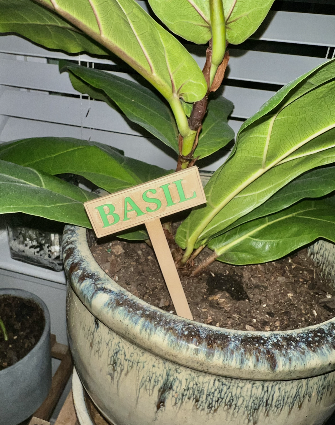 Garden Markers