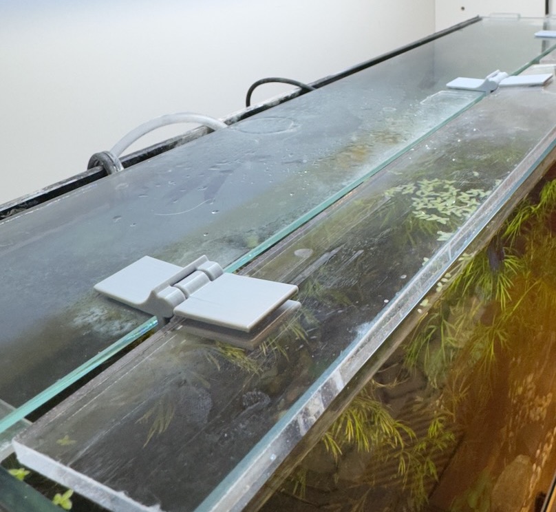 Hinge between acrylic and glass panels of aquarium lid by Bryson