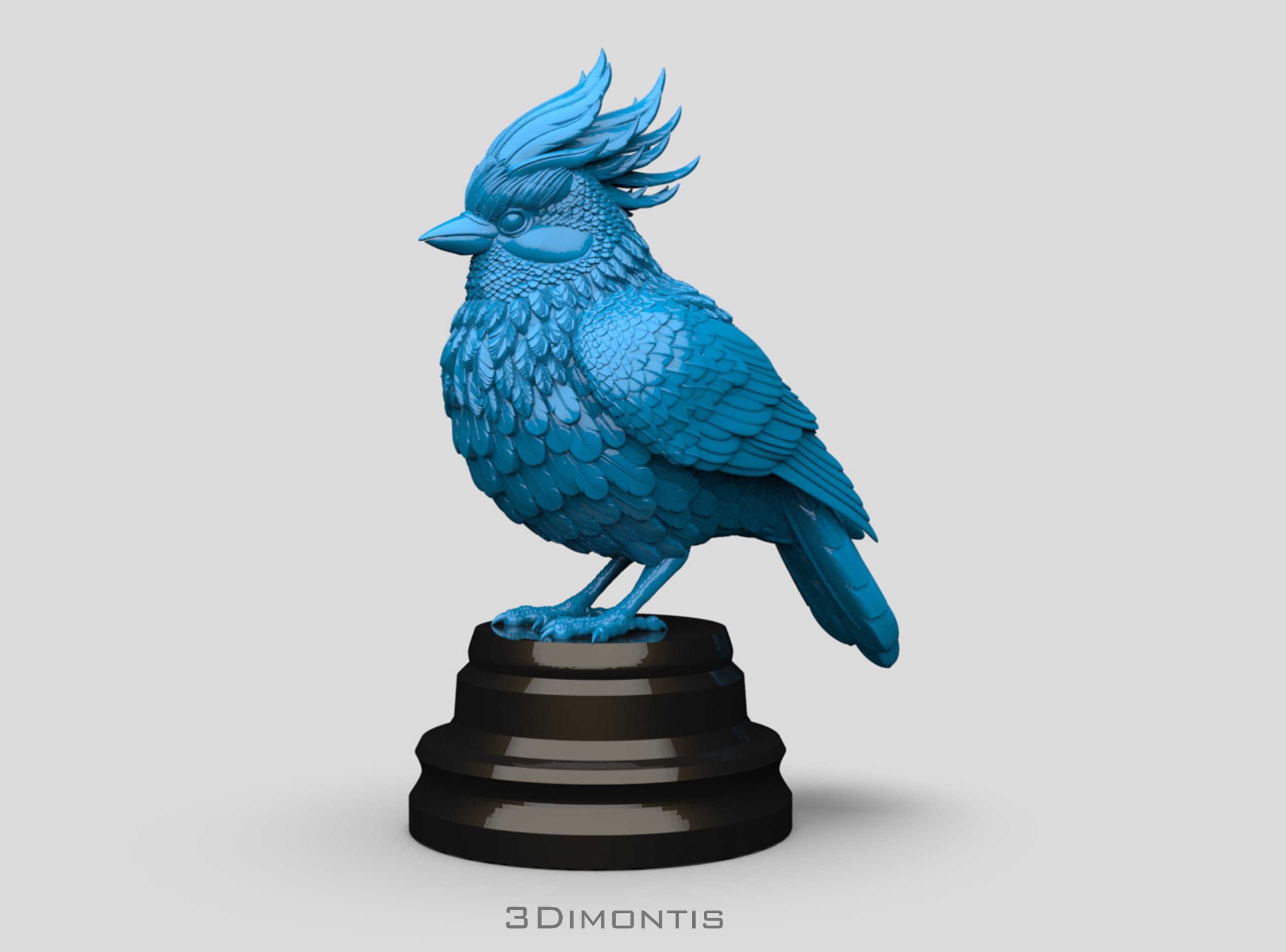 bird