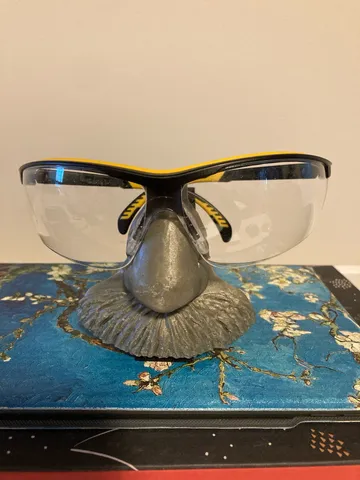 Einstein Safety Glasses Holder