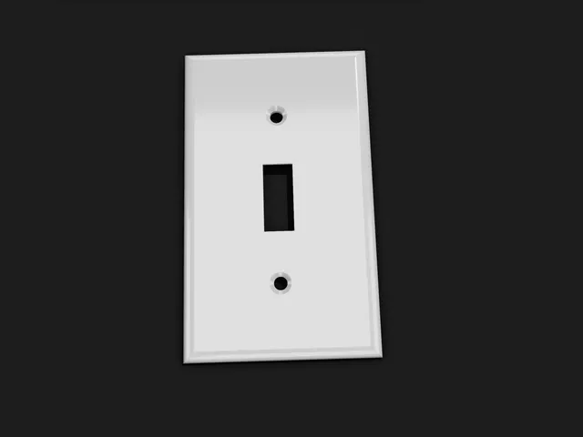 Traditional Light Switch Plate BLANK