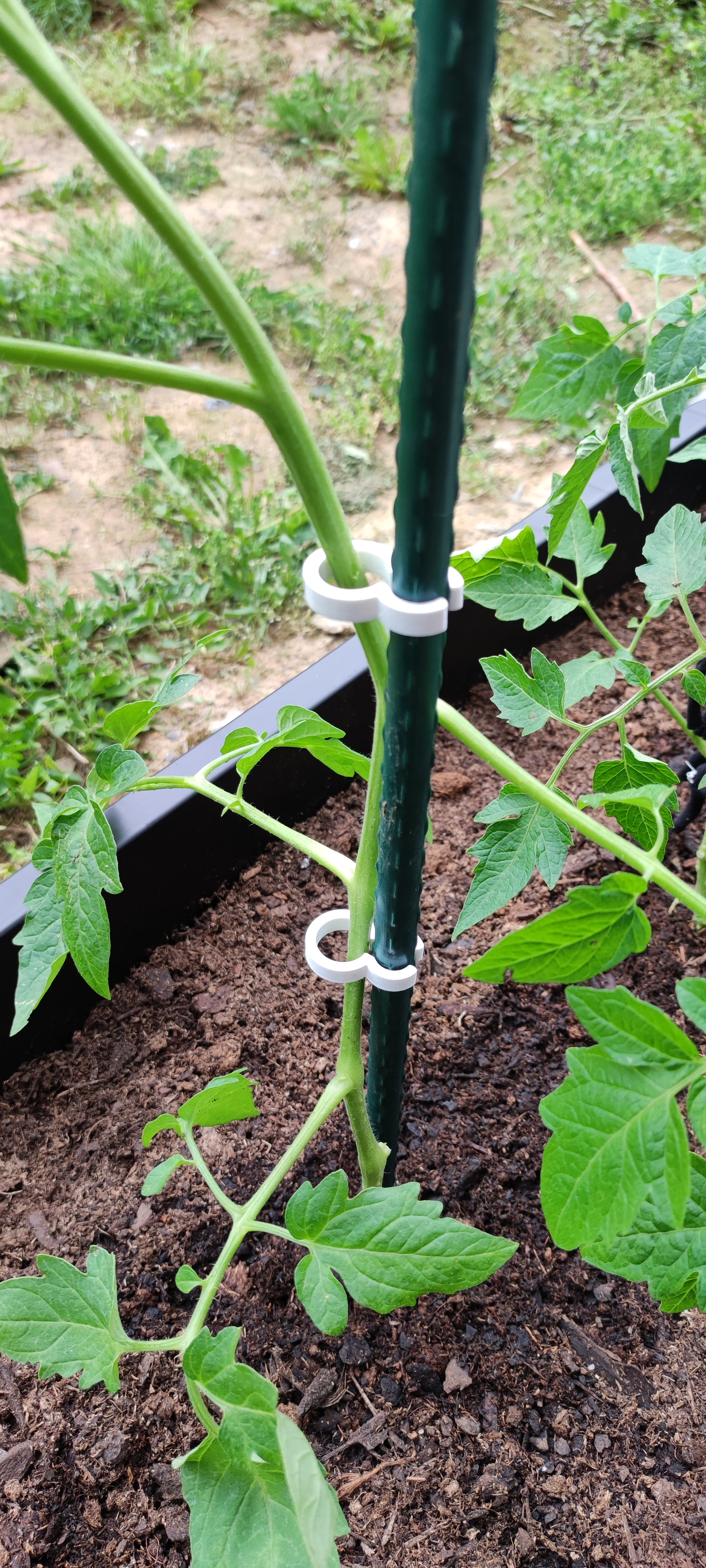 Simple plant clip