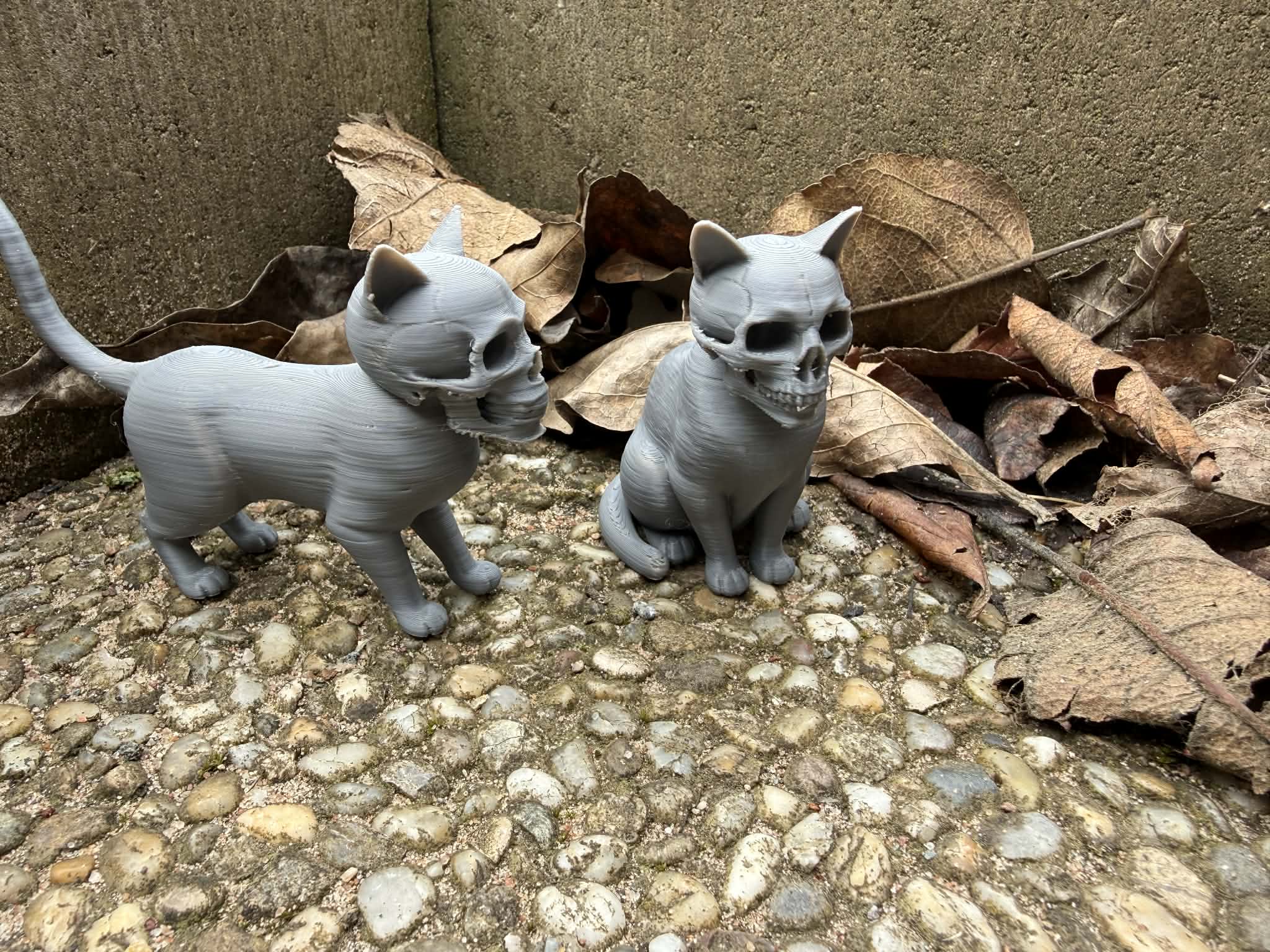 Scary Cats with Skulls