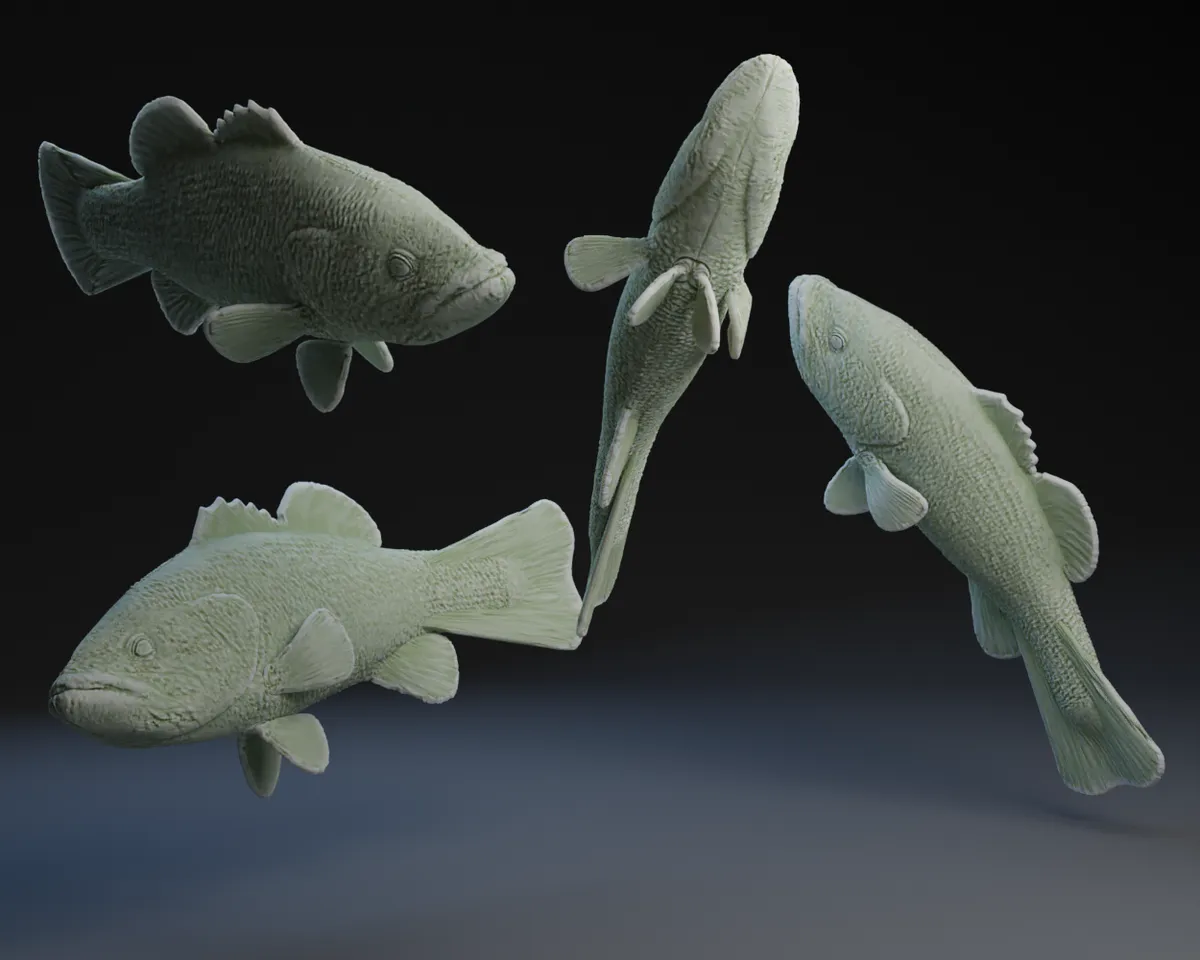 A Delicious Bass by Peter Farell | Download free STL model | Printables.com